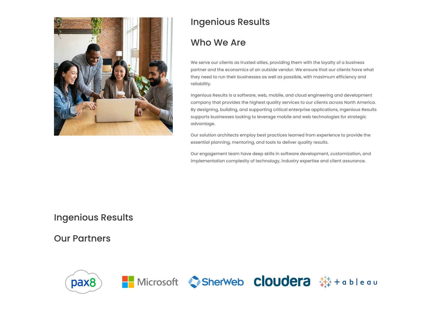 Ingenious Results: Who we are and partners